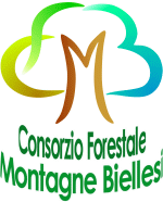 Consorzio Forestale Montagne Biellesi